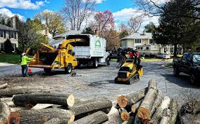 Best Lawn Mowing  in Albion, NY