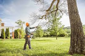 Best Lawn Grading and Leveling  in Albion, NY